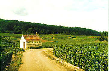 Clos de Bèze